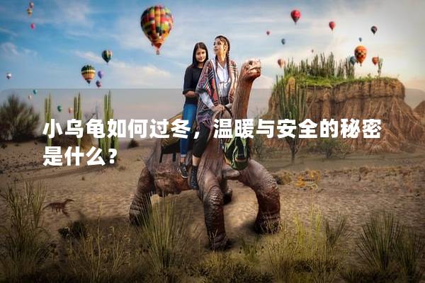 小乌龟如何过冬，温暖与安全的秘密是什么？