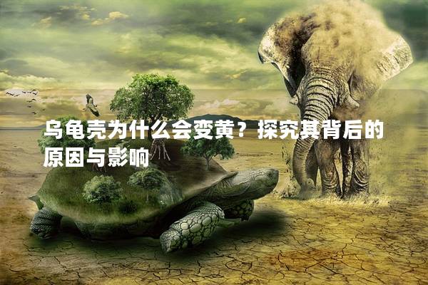 乌龟壳为什么会变黄？探究其背后的原因与影响
