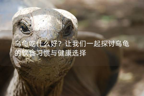 乌龟吃什么好？让我们一起探讨乌龟的饮食习惯与健康选择
