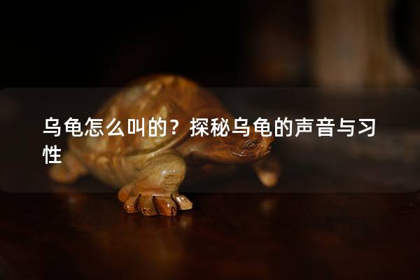 乌龟怎么叫的？探秘乌龟的声音与习性