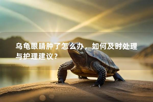 乌龟眼睛肿了怎么办，如何及时处理与护理建议？
