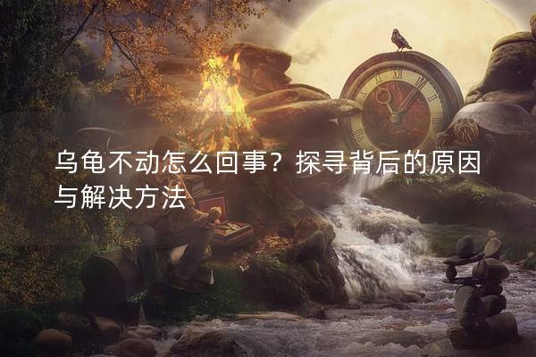 乌龟不动怎么回事？探寻背后的原因与解决方法