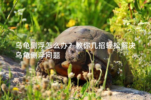 乌龟侧浮怎么办？教你几招轻松解决乌龟侧浮问题