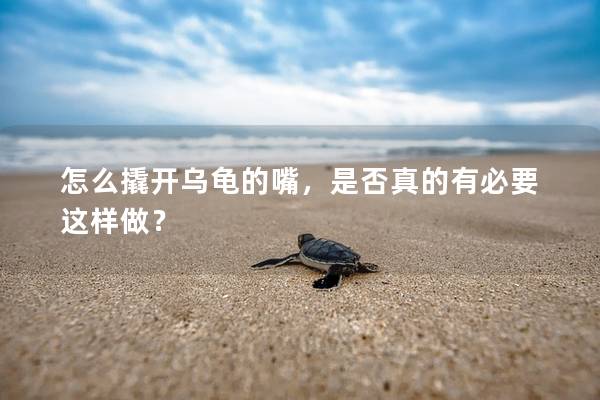 怎么撬开乌龟的嘴，是否真的有必要这样做？
