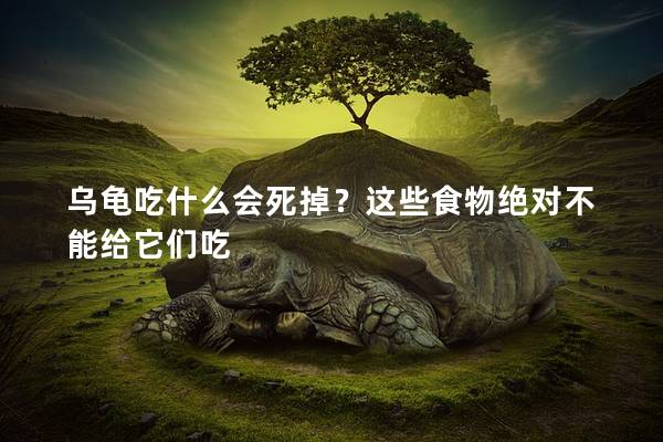 乌龟吃什么会死掉？这些食物绝对不能给它们吃