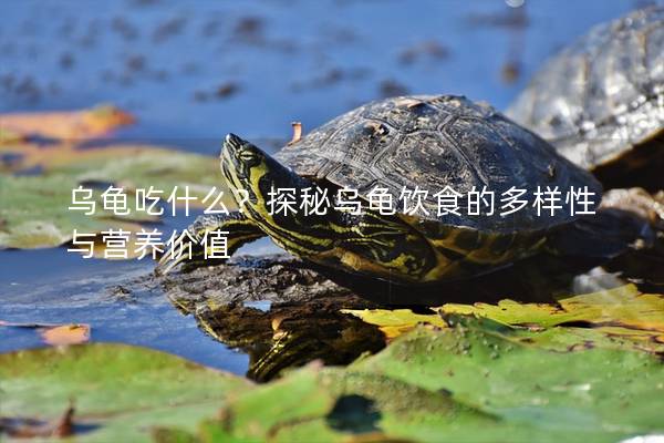 乌龟吃什么？探秘乌龟饮食的多样性与营养价值
