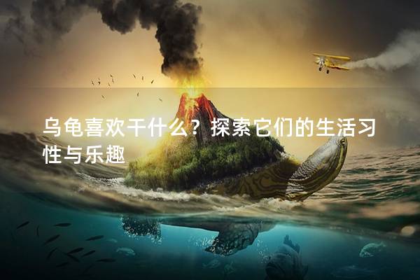 乌龟喜欢干什么？探索它们的生活习性与乐趣