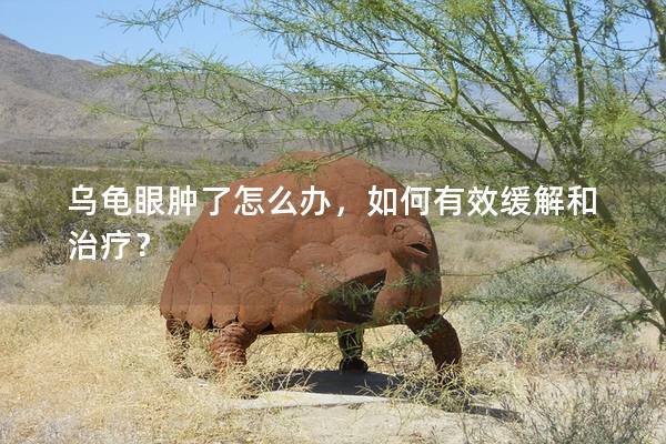 乌龟眼肿了怎么办，如何有效缓解和治疗？