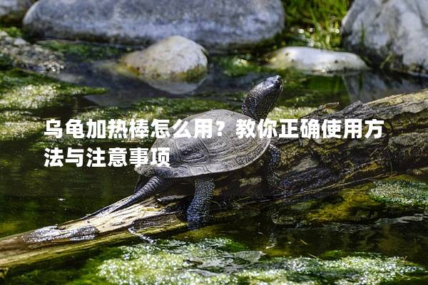 乌龟加热棒怎么用？教你正确使用方法与注意事项