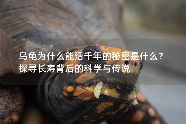 乌龟为什么能活千年的秘密是什么？探寻长寿背后的科学与传说