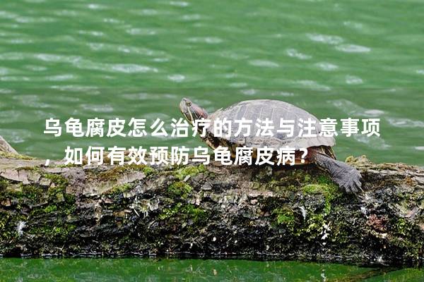 乌龟腐皮怎么治疗的方法与注意事项，如何有效预防乌龟腐皮病？