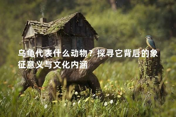 乌龟代表什么动物？探寻它背后的象征意义与文化内涵