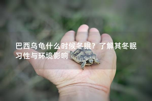 巴西乌龟什么时候冬眠？了解其冬眠习性与环境影响