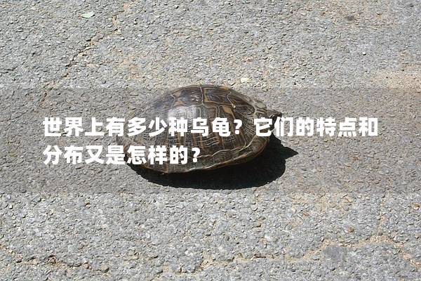 世界上有多少种乌龟？它们的特点和分布又是怎样的？