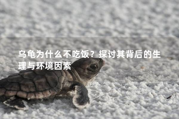 乌龟为什么不吃饭？探讨其背后的生理与环境因素