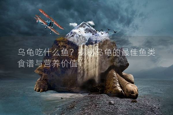 乌龟吃什么鱼？揭秘乌龟的最佳鱼类食谱与营养价值