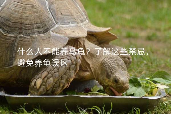 什么人不能养乌龟？了解这些禁忌，避免养龟误区