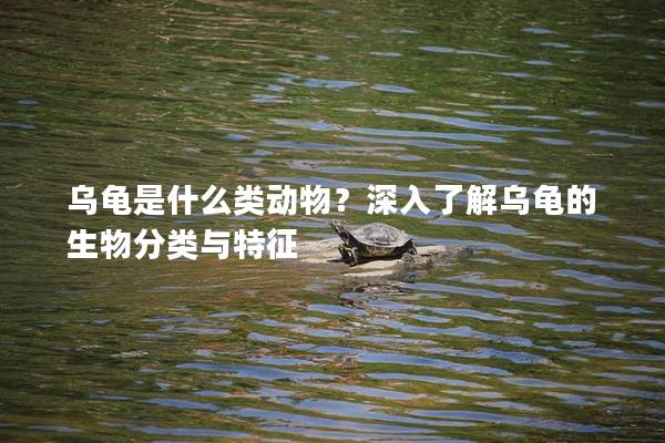 乌龟是什么类动物？深入了解乌龟的生物分类与特征