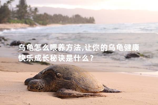 乌龟怎么喂养方法,让你的乌龟健康快乐成长秘诀是什么？