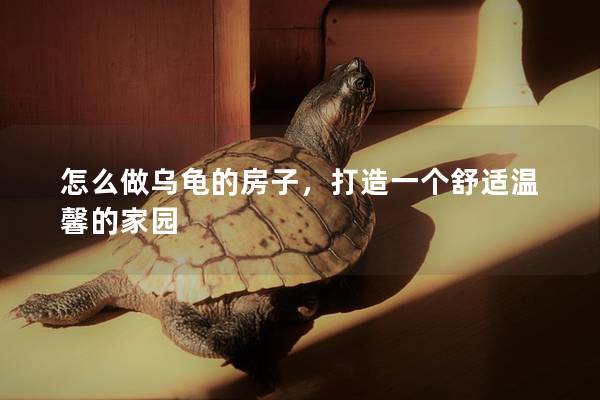 怎么做乌龟的房子，打造一个舒适温馨的家园