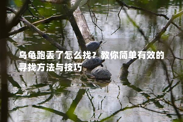乌龟跑丢了怎么找？教你简单有效的寻找方法与技巧