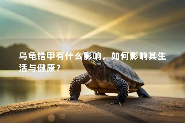 乌龟错甲有什么影响，如何影响其生活与健康？