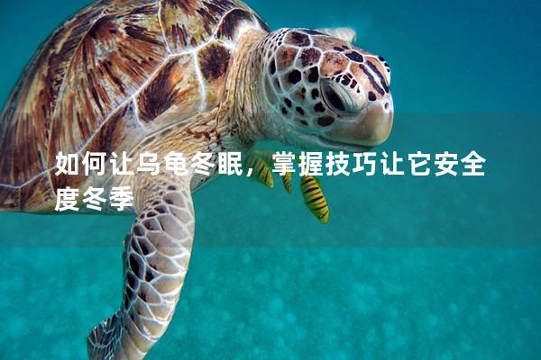 如何让乌龟冬眠，掌握技巧让它安全度冬季
