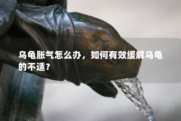 乌龟胀气怎么办，如何有效缓解乌龟的不适？