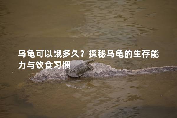 乌龟可以饿多久？探秘乌龟的生存能力与饮食习惯