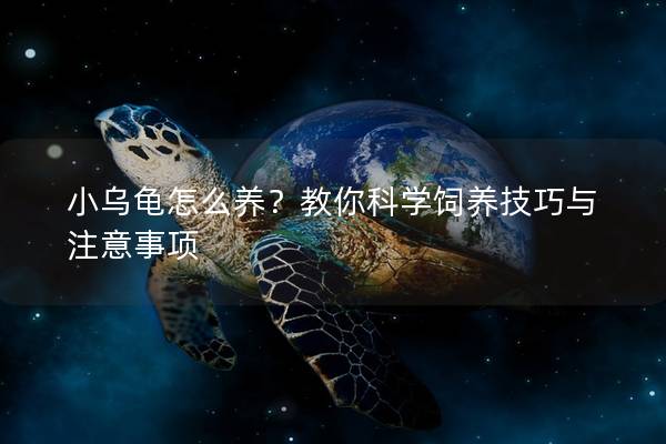 小乌龟怎么养？教你科学饲养技巧与注意事项