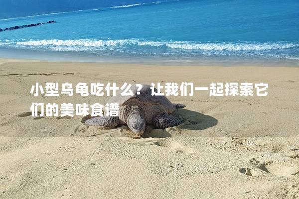 小型乌龟吃什么？让我们一起探索它们的美味食谱