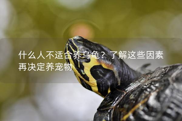 什么人不适合养乌龟？了解这些因素再决定养宠物