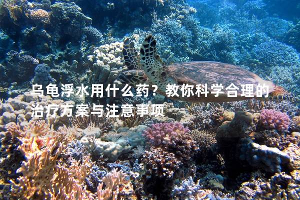 乌龟浮水用什么药？教你科学合理的治疗方案与注意事项