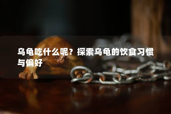 乌龟吃什么呢？探索乌龟的饮食习惯与偏好