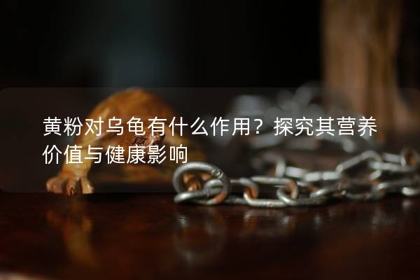 黄粉对乌龟有什么作用？探究其营养价值与健康影响