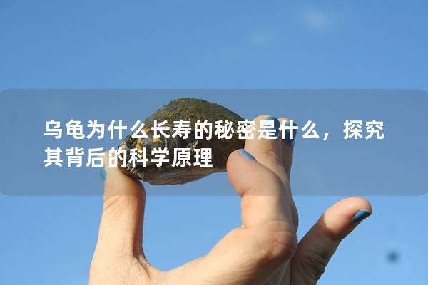 乌龟为什么长寿的秘密是什么，探究其背后的科学原理