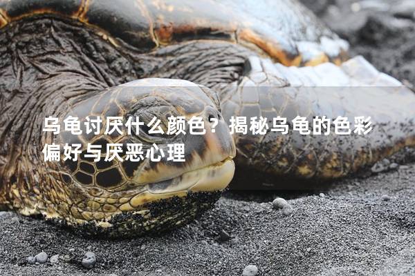 乌龟讨厌什么颜色？揭秘乌龟的色彩偏好与厌恶心理
