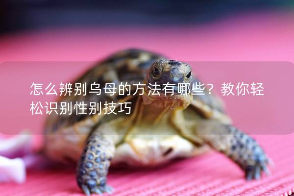怎么辨别乌母的方法有哪些？教你轻松识别性别技巧