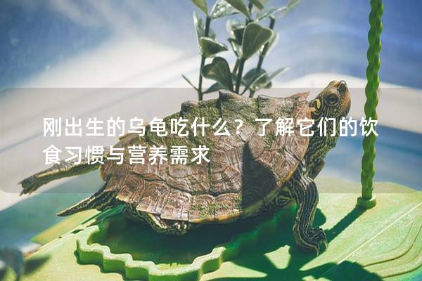 刚出生的乌龟吃什么？了解它们的饮食习惯与营养需求