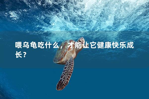 喂乌龟吃什么，才能让它健康快乐成长？