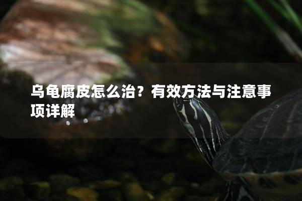 乌龟腐皮怎么治？有效方法与注意事项详解