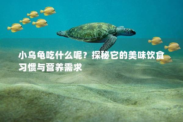 小乌龟吃什么呢？探秘它的美味饮食习惯与营养需求