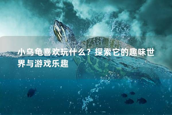 小乌龟喜欢玩什么？探索它的趣味世界与游戏乐趣