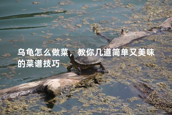 乌龟怎么做菜，教你几道简单又美味的菜谱技巧