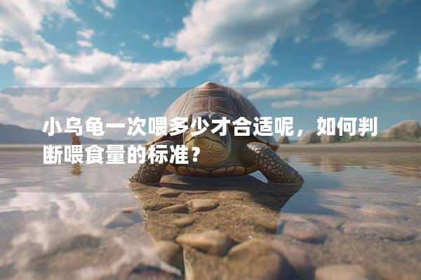 小乌龟一次喂多少才合适呢，如何判断喂食量的标准？