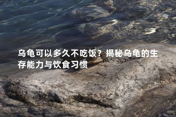 乌龟可以多久不吃饭？揭秘乌龟的生存能力与饮食习惯