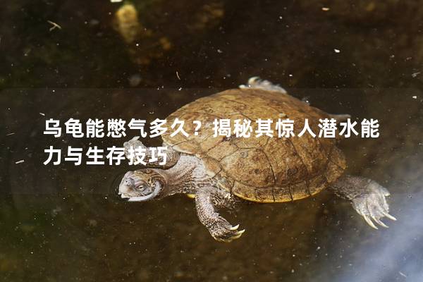 乌龟能憋气多久？揭秘其惊人潜水能力与生存技巧