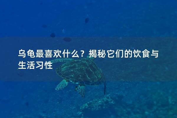 乌龟最喜欢什么？揭秘它们的饮食与生活习性