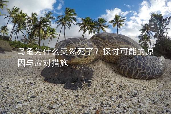 乌龟为什么突然死了？探讨可能的原因与应对措施