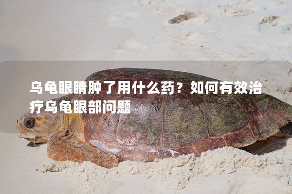 乌龟眼睛肿了用什么药？如何有效治疗乌龟眼部问题